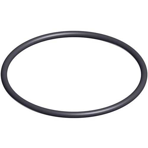 Hayward Pool Products, Inc., Hayward SwimClear Outlet Pipe O-Ring - DEX2400Z5