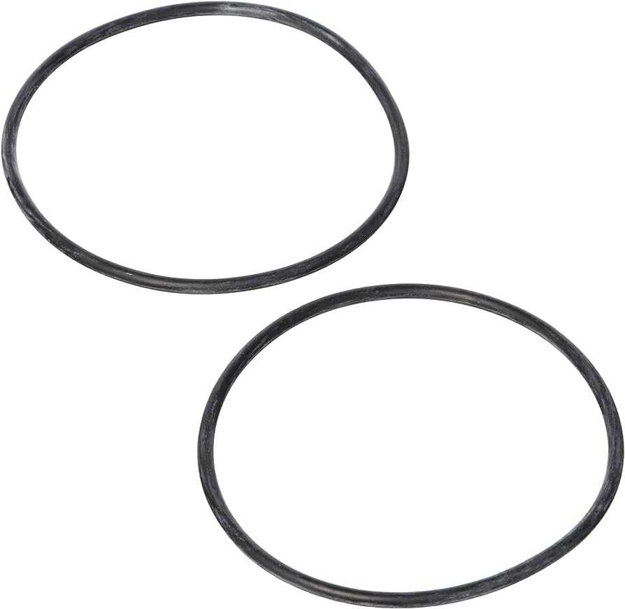 Zodiac Systems | Jandy Pro Series, Jandy LXi | LRZ Coupling O-Ring (2 Pack) - R0454100