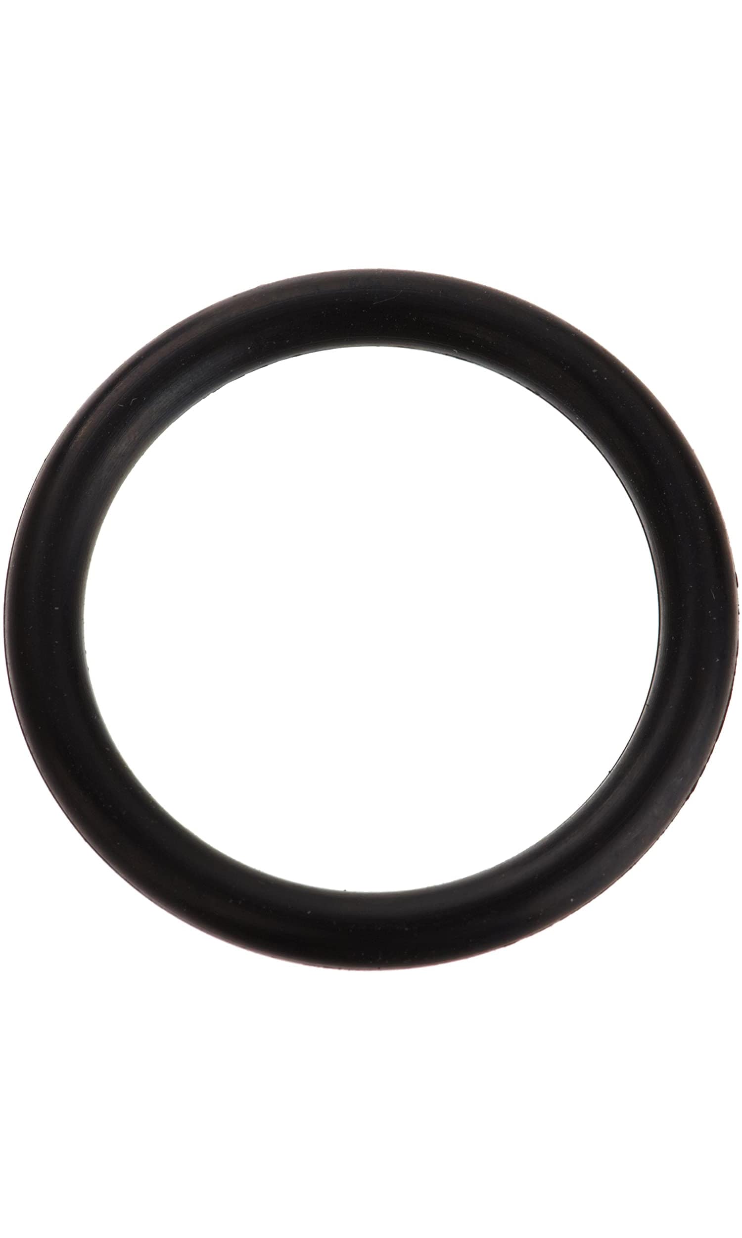Zodiac Systems | Jandy Pro Series, Jandy Never Lube Shaft O-Ring - R0487100