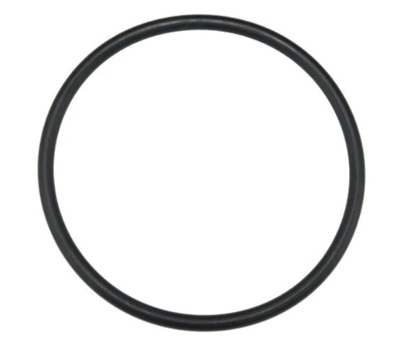 Zodiac Systems | Jandy Pro Series, Jandy TruClear Cap O-Ring - R0694100